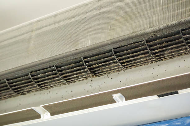 Best Air Duct Cleaning Near Me  in Jena, LA